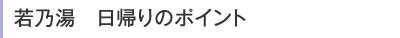 若乃湯 日帰りのポイント